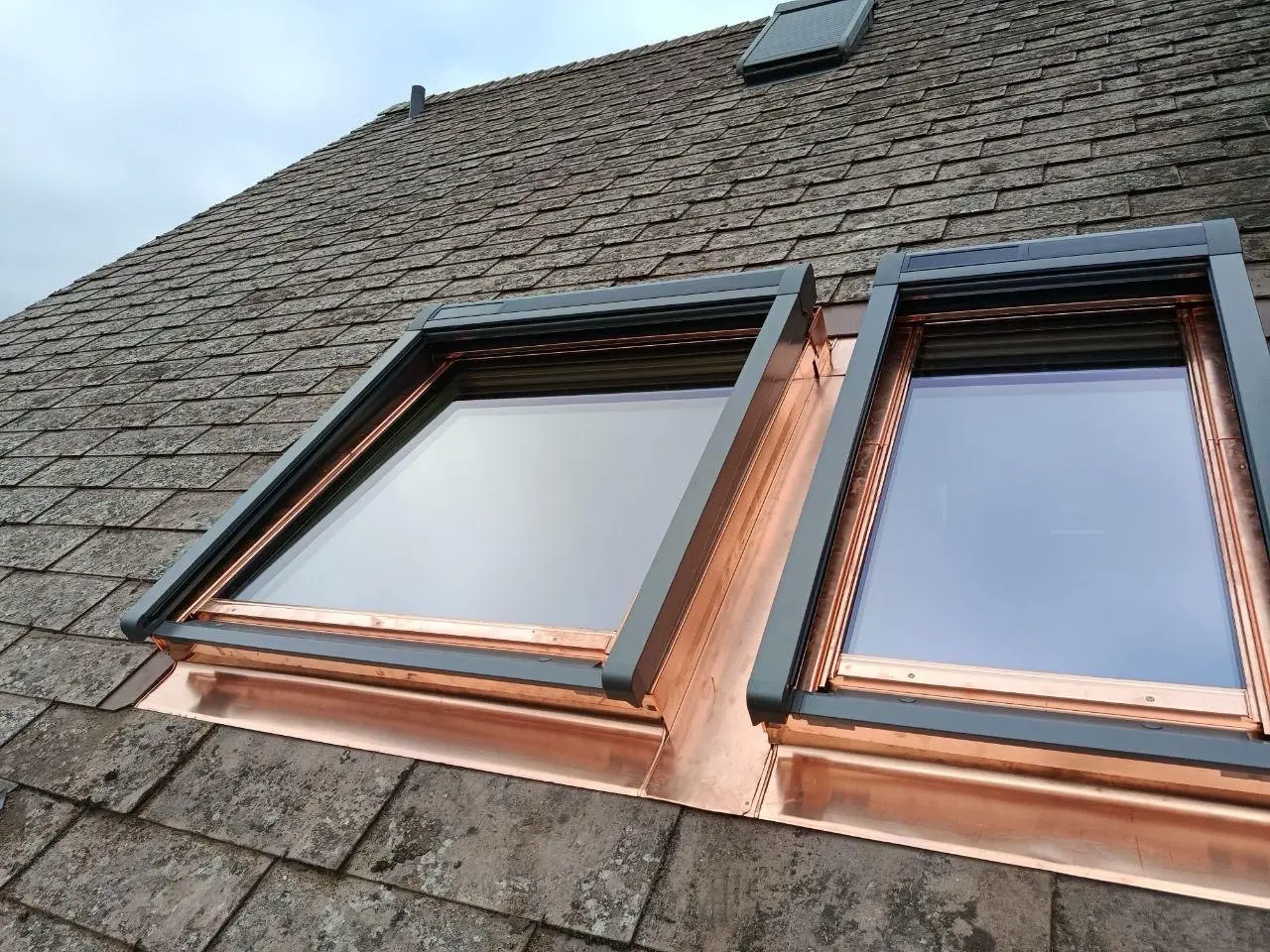 gross-1f8795aa-57c4-4564-9958-c33fda59c4a6