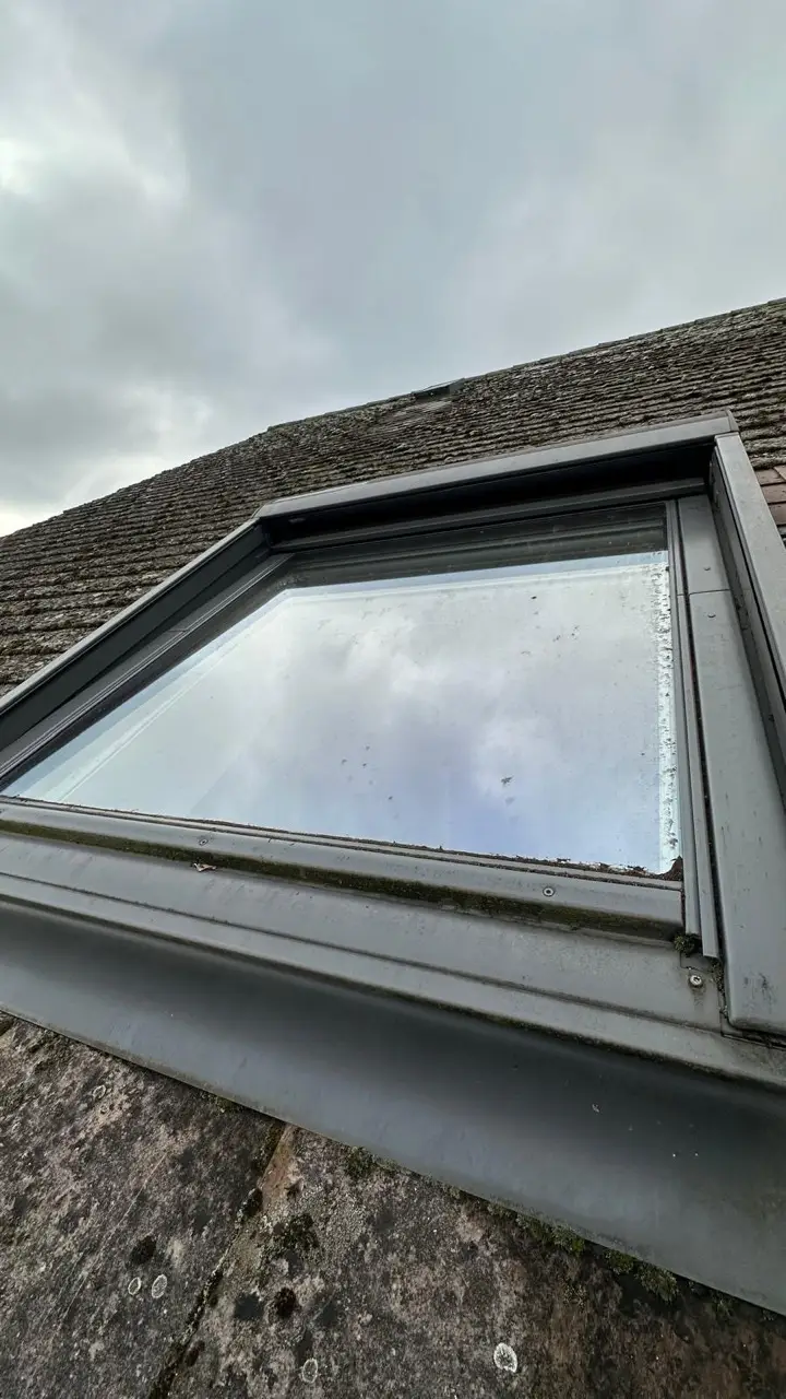 gross-2013341a-15a2-4c62-b6ab-b7f4054994d2